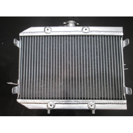 Radiator Honda Rincon TRX 650 680 2003-2016 19010-HN8-A61 19010-HN8-A61 big volume
