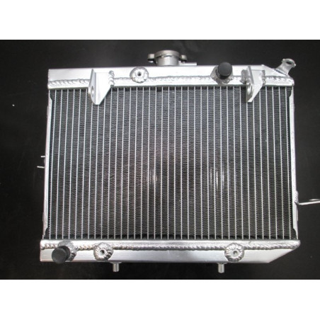 Radiator Honda Rincon TRX 650 680 2003-2016 19010-HN8-A61 19010-HN8-A61 big volume