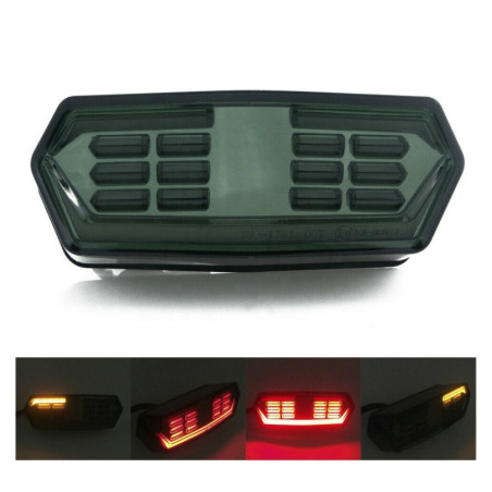 Multifunctional rear lamp driving stop turn lights homologation E11