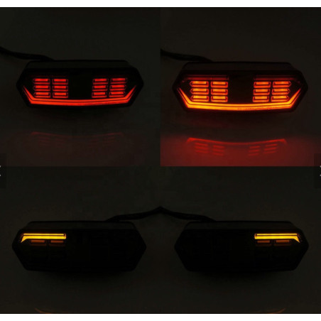 Multifunctional rear lamp driving stop turn lights homologation E11