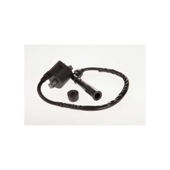 Ignition coil Yamaha Raptor Grizzly Rhino 660 Suzuki LTZ 400 LTA 500 5FU-82310-00-00 33410-09F00