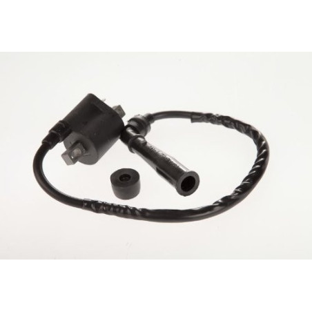 Ignition coil Yamaha Raptor Grizzly Rhino 660 Suzuki LTZ 400 LTA 500 5FU-82310-00-00 33410-09F00