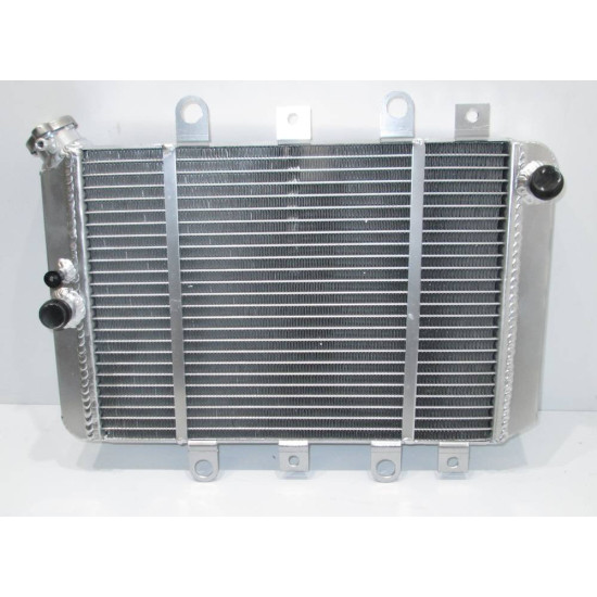 Radiator Yamaha Grizzly 550 700 07-11 3B4-1240A-00-00 3B4-1240A-10-00