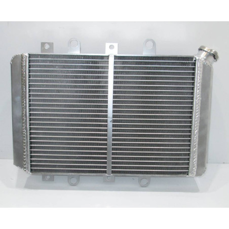 Radiator Yamaha Grizzly 550 700 2012-20 3B4-1240A-00-00 3B4-1240A-10-00 1HP-E2460-00-00 28P-1240A-00-00 1HP-E2460-00-00