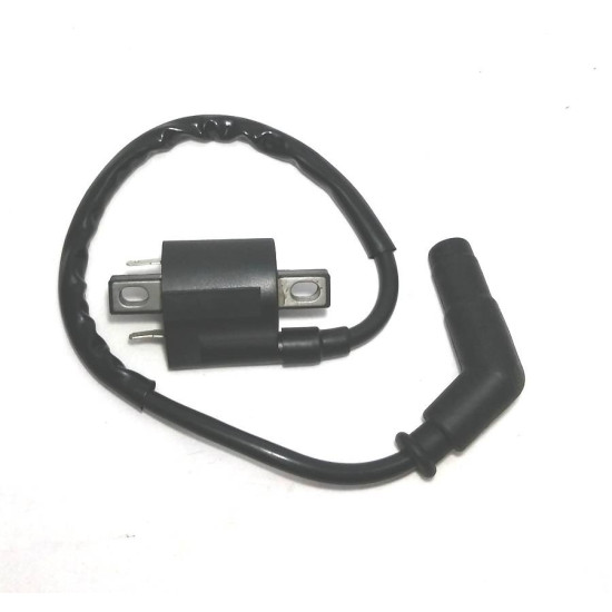 Ignition coil Yamaha Grizzly 700 1D7-82310-00-00 1D7-82310-01-00