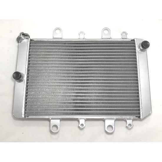 Radiator Yamaha Grizzly 550 700 Kodiak 700 2012-2020 B16-E2460-00-00