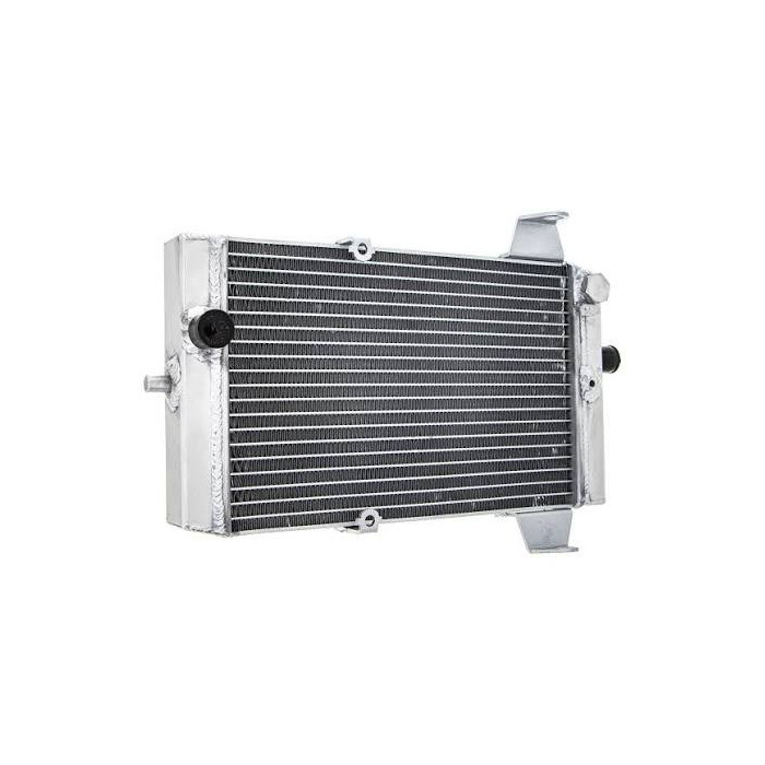 Radiator Kawasaki KFX 700 39060-0006