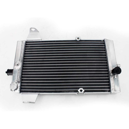 Radiator Kawasaki KFX 700 39060-0006