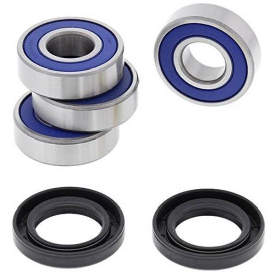 Rear Independent Suspension Kit Can-am renegade outlander G2 50-1080