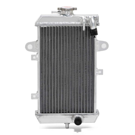 radiator big volume Yamaha Raptor 700 2013-2018 1PE-E2460-00-00 1PE-E2460-01-00 TRS-R-244
