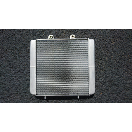 Radiator Polaris Sportsman 400 500 570 1240520