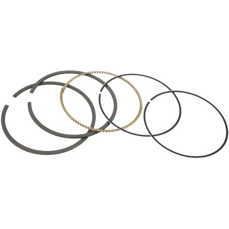 Pistons rings Polaris Sportsman Ranger 700 2202127