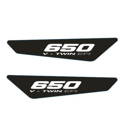 Stickers set Can-am 650