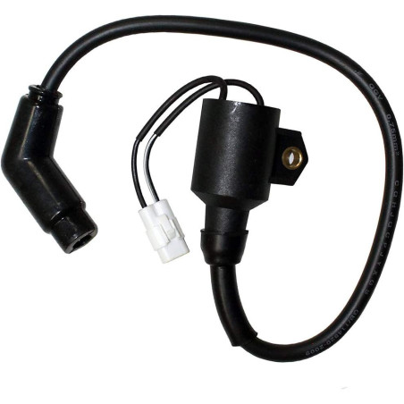 Ignition Coil Polaris Sportsman Hawkeye 300 3089910, 3089860