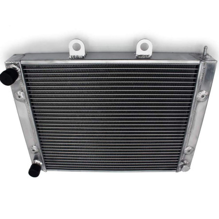 Radiator Polaris Sportsman 700 800 1240190