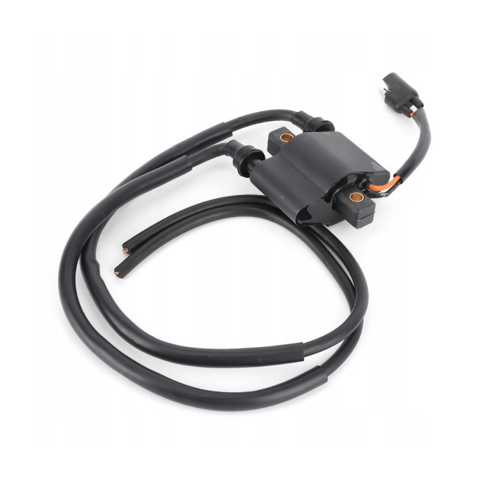 Ignition Coil Polaris Sportsman 600 700 4010898