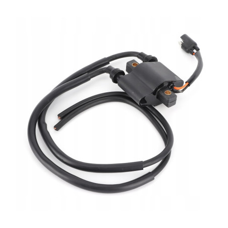 Ignition Coil Polaris Sportsman 600 700 4010898