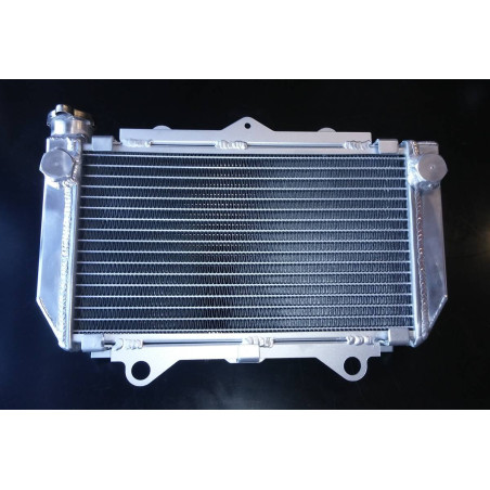 Radiator Yamaha YFZ450 2004-2013 5TG-12461-00-00 5TG-12461-10-00