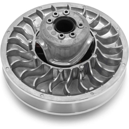 Secondary clutch can-am Maverick RR 420686738