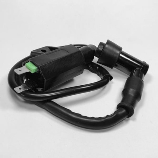 Ignition coil Kawasaki praire KVF 360 21121-1160 21121-1198