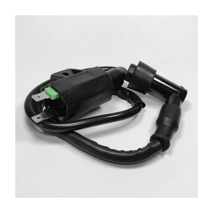 Ignition coil Kawasaki praire KVF 360 21121-1160 21121-1198