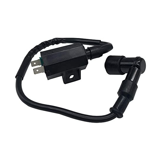 Ignition coil Kawasaki praire KVF 360 21121-1160 21121-1198