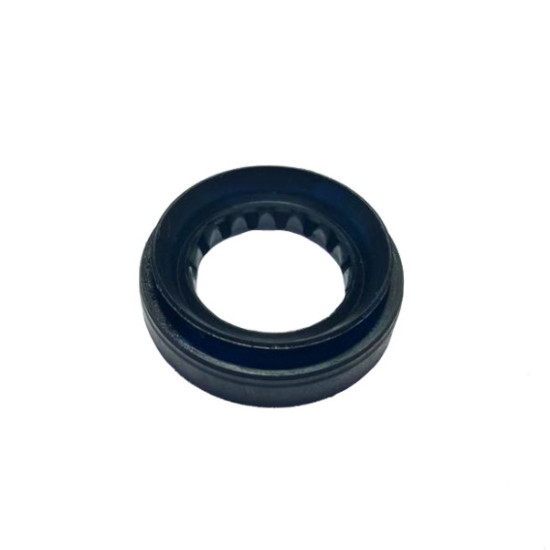 Oil seal Odes 11010243808