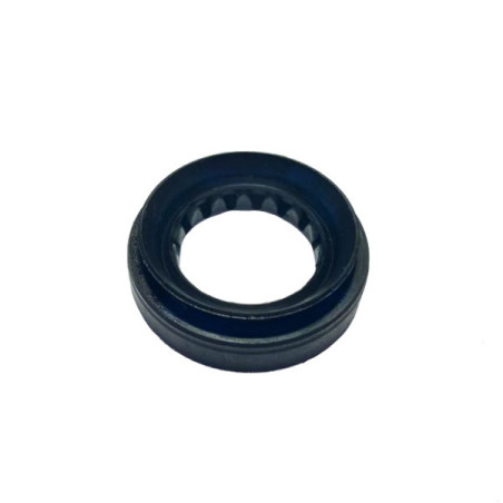 Oil seal Odes 11010243808