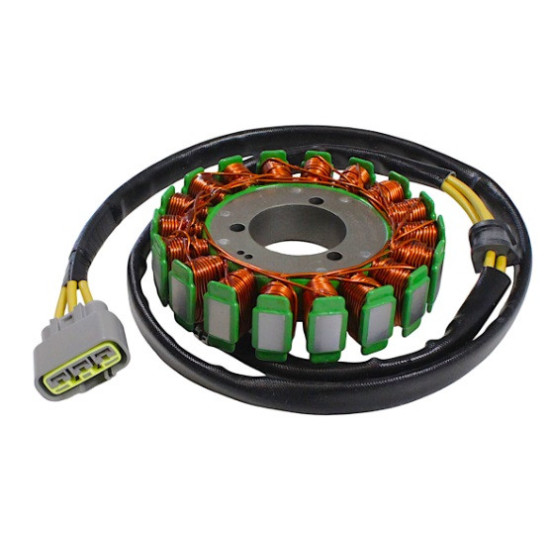 Stator QJMOTOR 299036770000