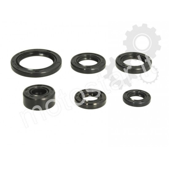 ATV 50-110 engine oil seal kit