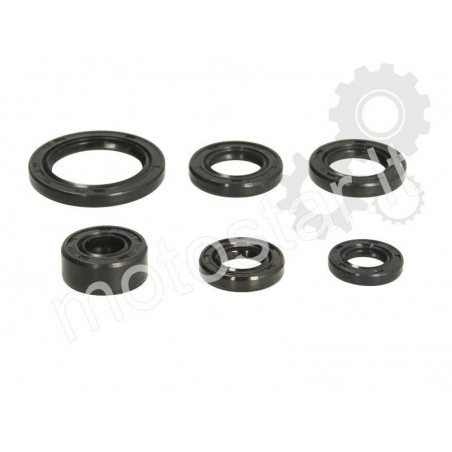 ATV 50-110 engine oil seal kit