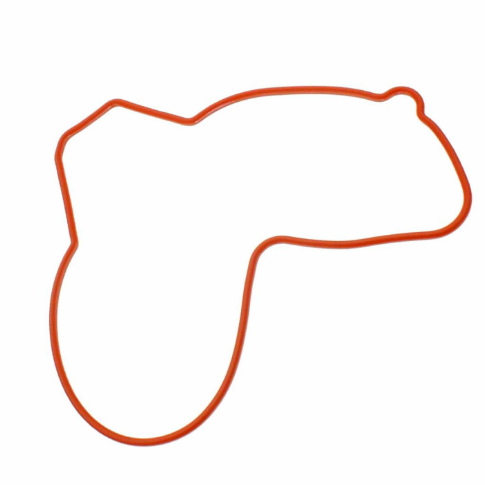 Gasket magneto cover Polaris Sportsman 570 5415086