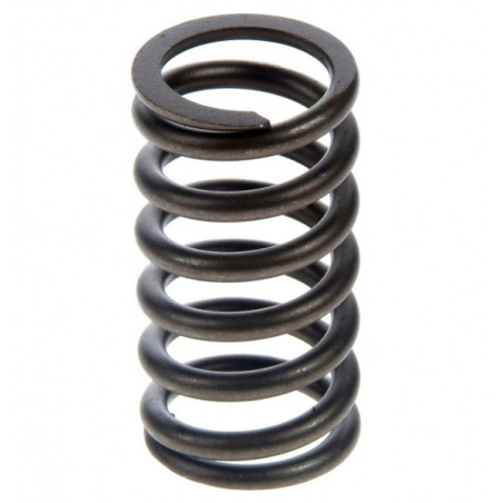 Valve spring Cfmoto X5 0180-022006-0050