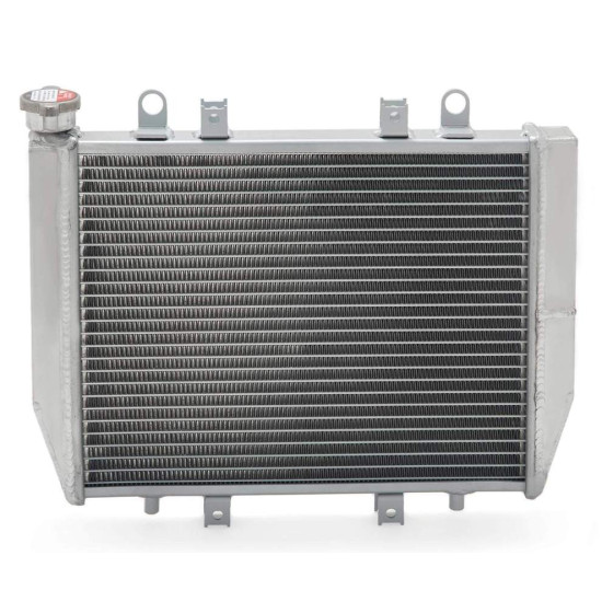 Radiator Kawasaki KVF 650 750 2016-22 39061-0589
