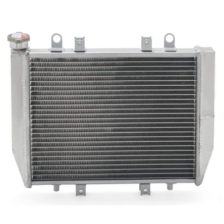 Radiator Kawasaki KVF 650 750 2016-22 39061-0589