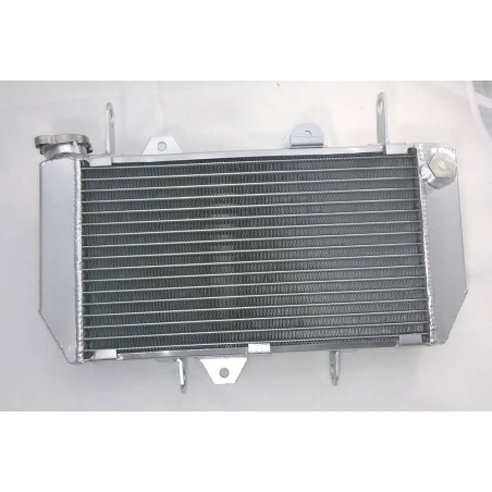Radiator Yamaha YFZ450R 2014-2018 1TD-E2460-00-00