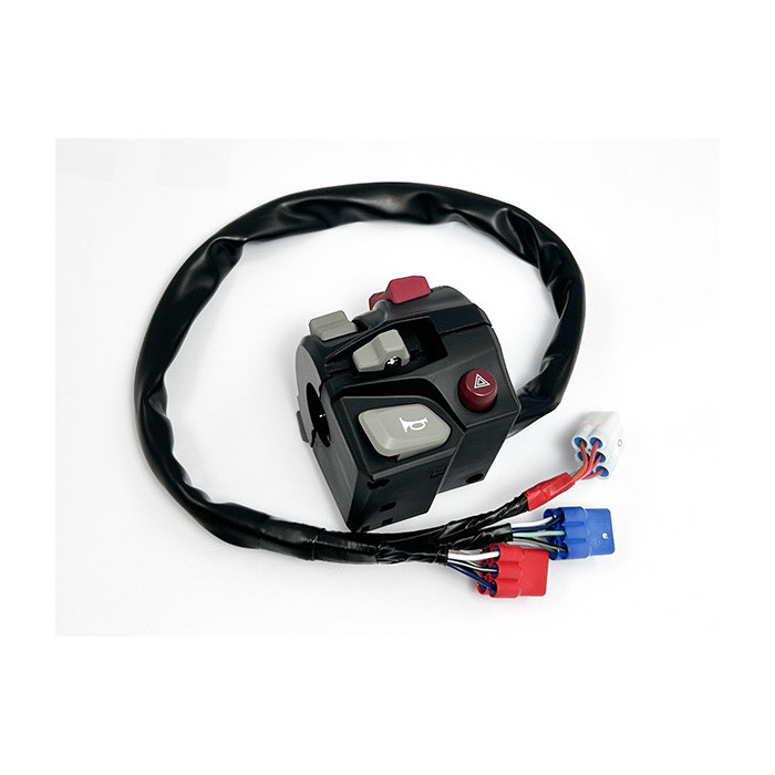 Handleabar switch Cfmoto 9DQV-166000-4200-10