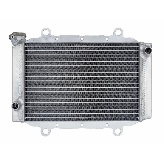 Radiator Yamaha kodiak 450 18-22 BB5-E2461-00