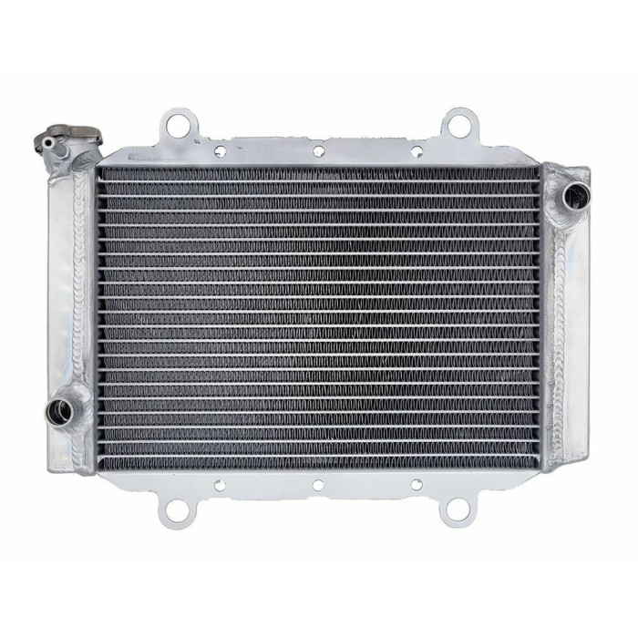 Radiator Yamaha kodiak 450 18-22 BB5-E2461-00