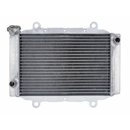 Radiator Yamaha kodiak 450 18-22 BB5-E2461-00