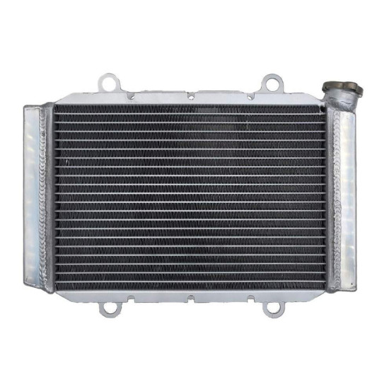 Radiator Yamaha kodiak 450 18-22 BB5-E2461-00