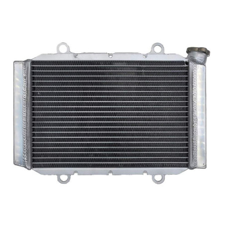 Radiator Yamaha kodiak 450 18-22 BB5-E2461-00