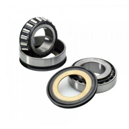 BEARING WORX vairo guoliai su riebokšliais BMW S1000RR 10-13,SUZUKI GSX-R 600/750 97-09,DL 650 V-STORM 04-12,SV 650S (22-1003)