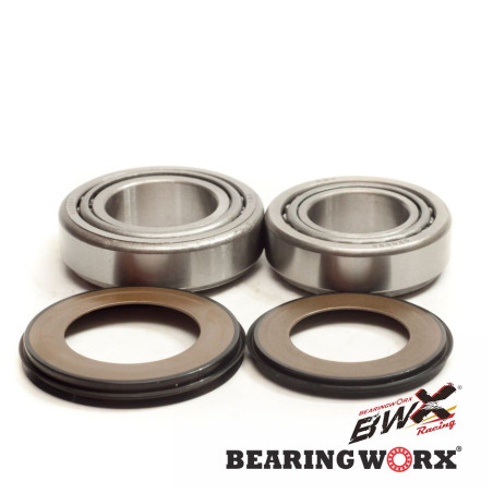 BEARING WORX vairo guoliai su riebokšliais KAWASAKI KL/KLR 250/600, VN750/800/1500, ZX6/ZX9, ZR7 (22-1009)