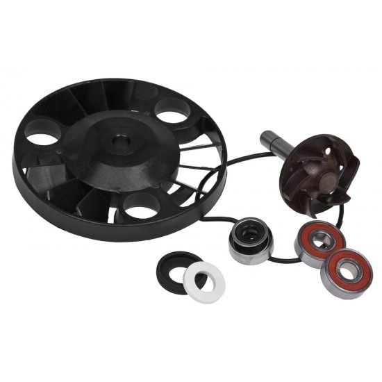 Piaggio / Gilera 125-200 4t water pump repair kit (old type)