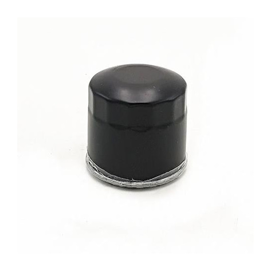 1. oil filter cfmoto 500 X5 0180-011300-0B00, CF188-011300-0B00