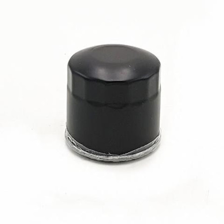 1. oil filter cfmoto 500 X5 0180-011300-0B00, CF188-011300-0B00