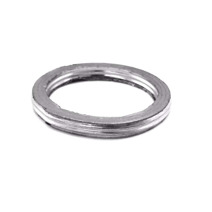Exhaust gasket Odes 800 21040400101