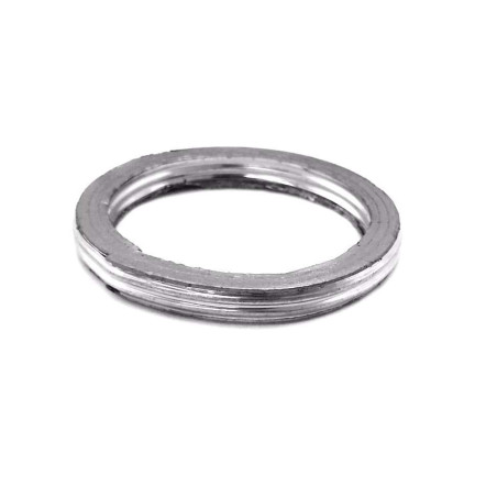 Exhaust gasket Odes 800 21040400101