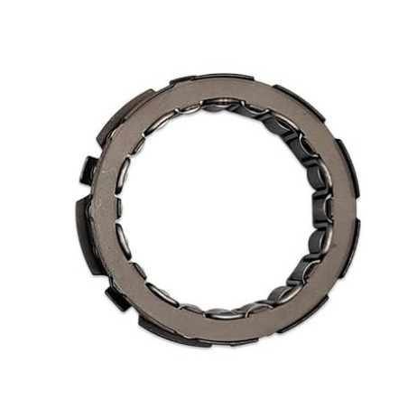 Sprag clutch Odes 800 21040109501